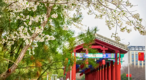 淇县春日赏花指南｜赴朝歌之约，揽一城繁花