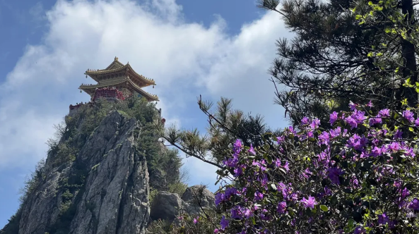 洛阳牡丹盛放，老君山春景正浓，赴一场仙花同赏的春日之约！
