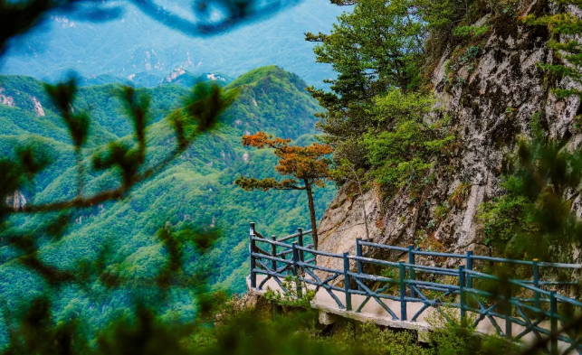 清明踏春｜尧山藏尽春日浪漫