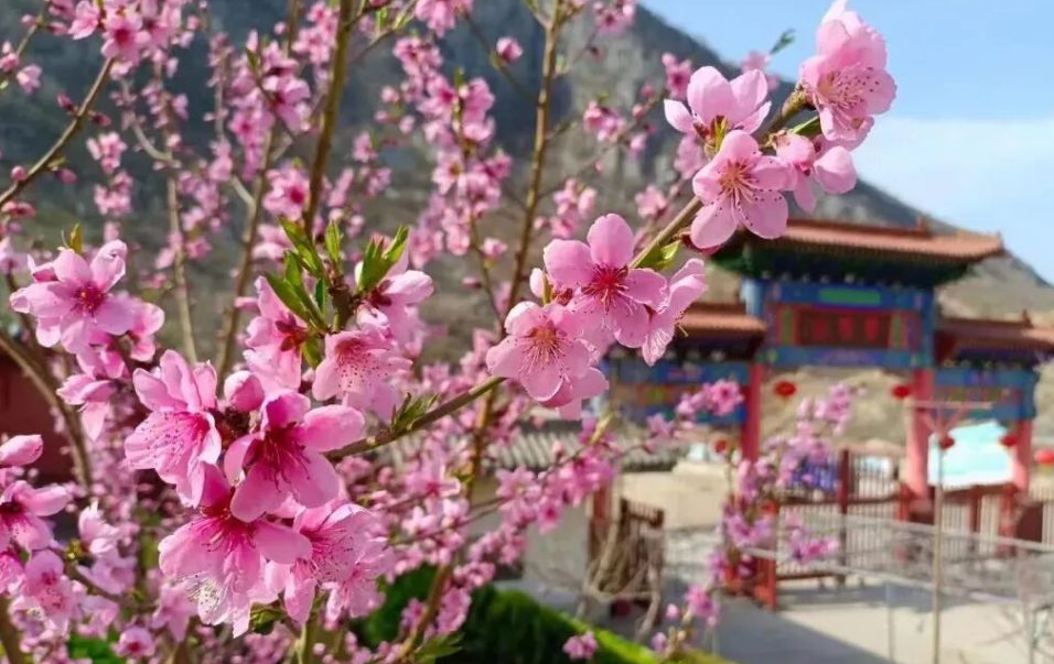 解锁云梦山清明新玩法，一站式打卡指南！