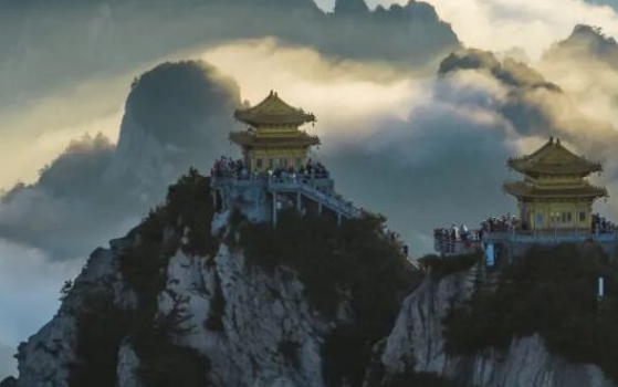 清明踏春丨老君山的云海里，藏着整个春天的诗意