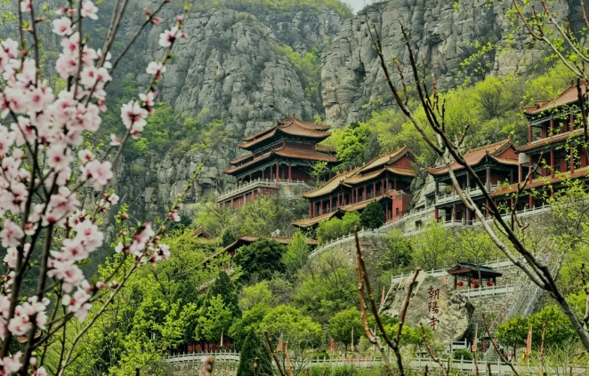 清明已过春意浓，4月12日相约朝阳山登山赛！