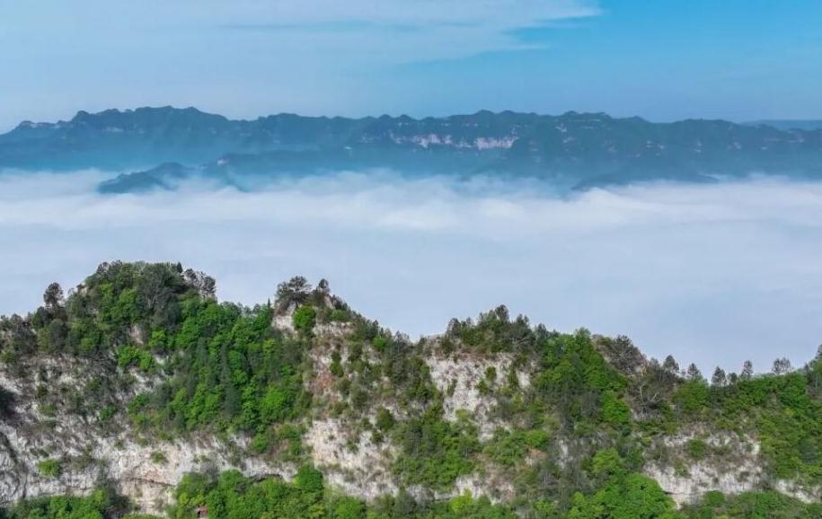 现在！神农山惊现云海奇观！速来！
