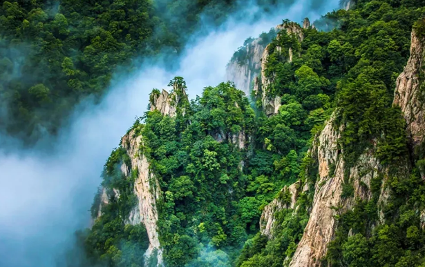 老君山踏春指南，助你开启春日第一场仙旅