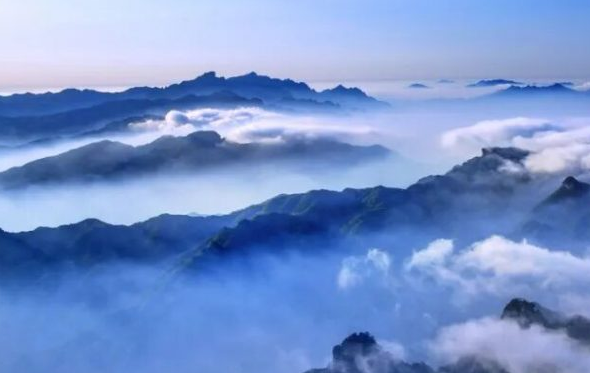 别只拍金顶了！老君山的春日特写，每一张都能当壁纸