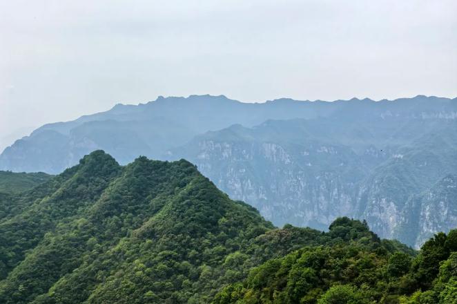 90%+森林覆盖率，神农山藏着现实版“绿野仙踪”！