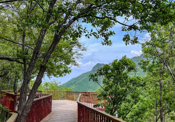 五一高速全免费，摘星楼承包你5天快乐！