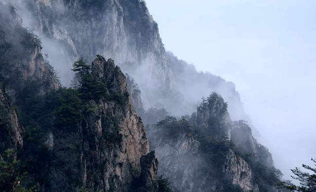 细雨润峰峦 安全伴同行|老君山阴雨天气温馨提示