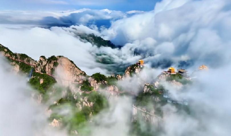 近期的雨雾是“盲盒”，我们在老君山开出了绝美云海！
