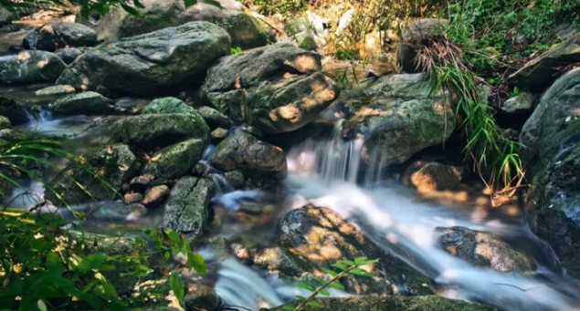 小暑至,赴老君山寻一场21℃的云上清凉