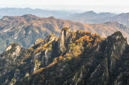 九月的老君山，是一年中最该来的时候