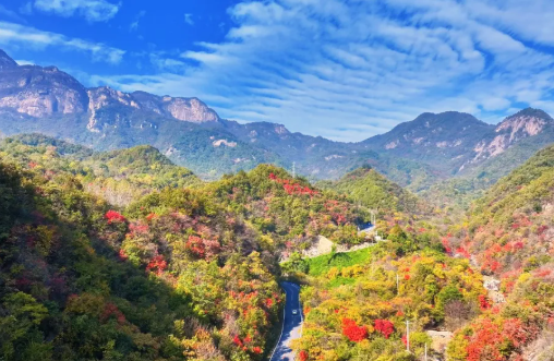 秋色正好,门票互免!凭五朵山门票,免费游长颈鹿欢乐世界