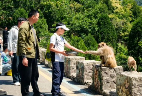 龙脊神农山・盛世中华情!神农山国庆假期活动游玩攻略抢先看!