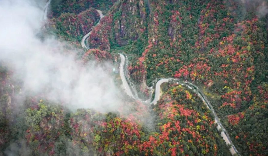 十月来老君山，这几处景致千万别错过！