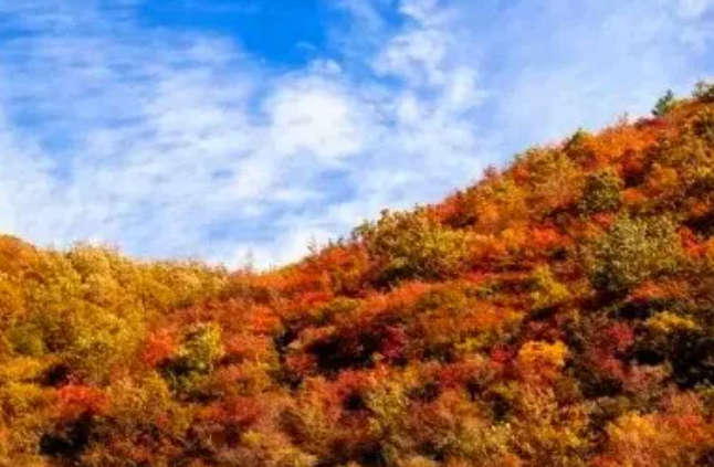 出片率100%！云漫、山红、风清，云梦山秋日限定浪漫上线！