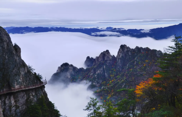老君山雨中秋色｜一场秋雨，把仙山晕染成水墨长卷